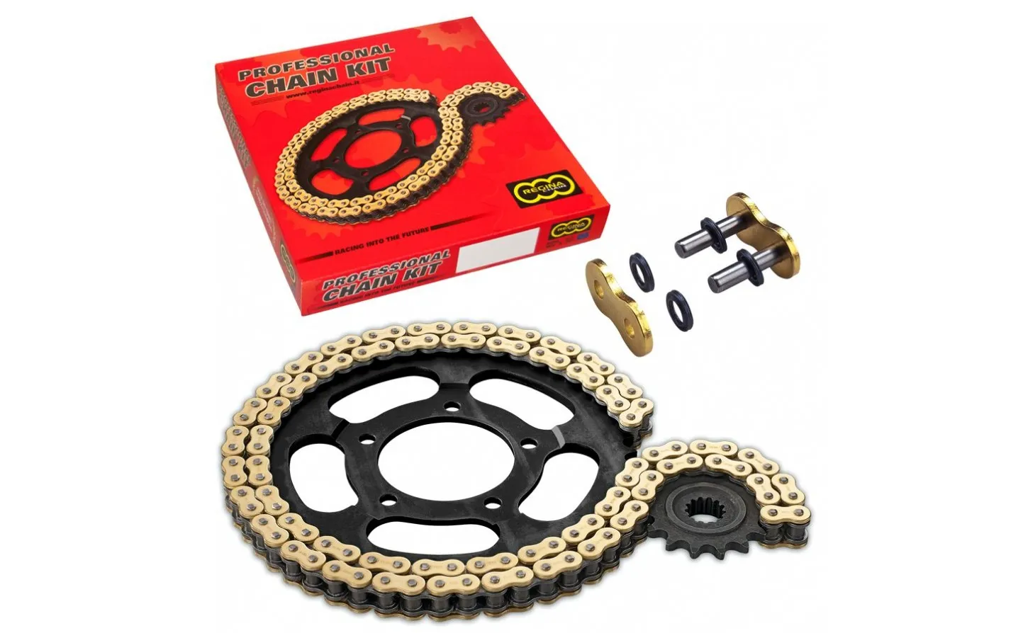 525 ZRP Chain And Sprocket Kit Regina /12300392/