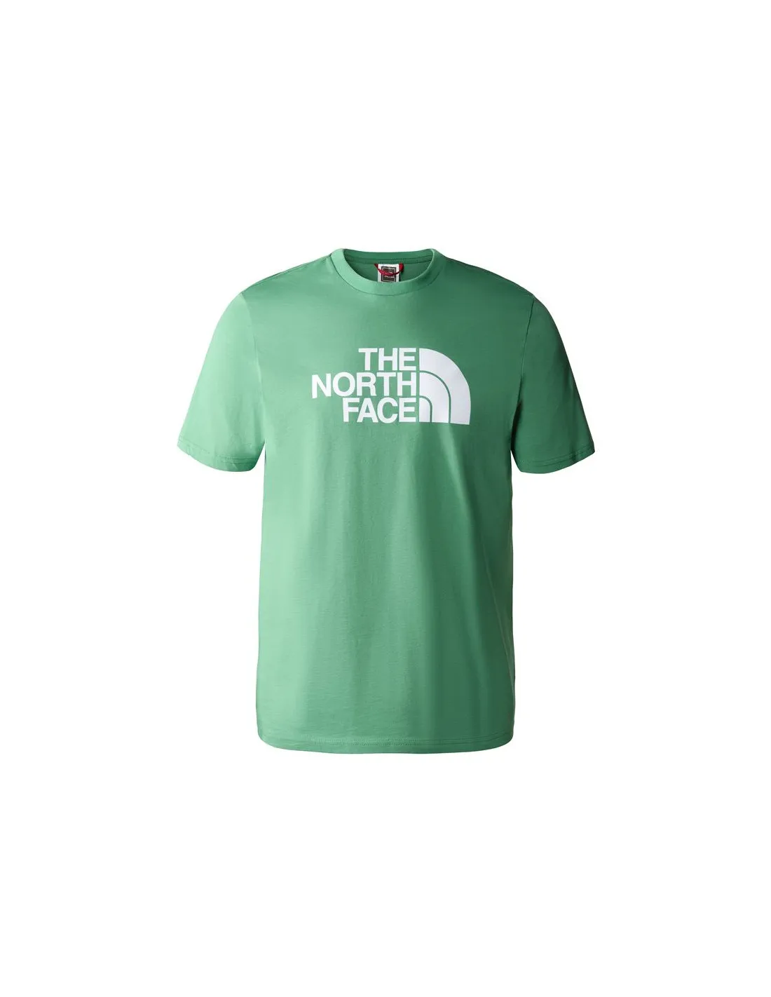 Camiseta de Montaña The North Face Easy Verde Hombre