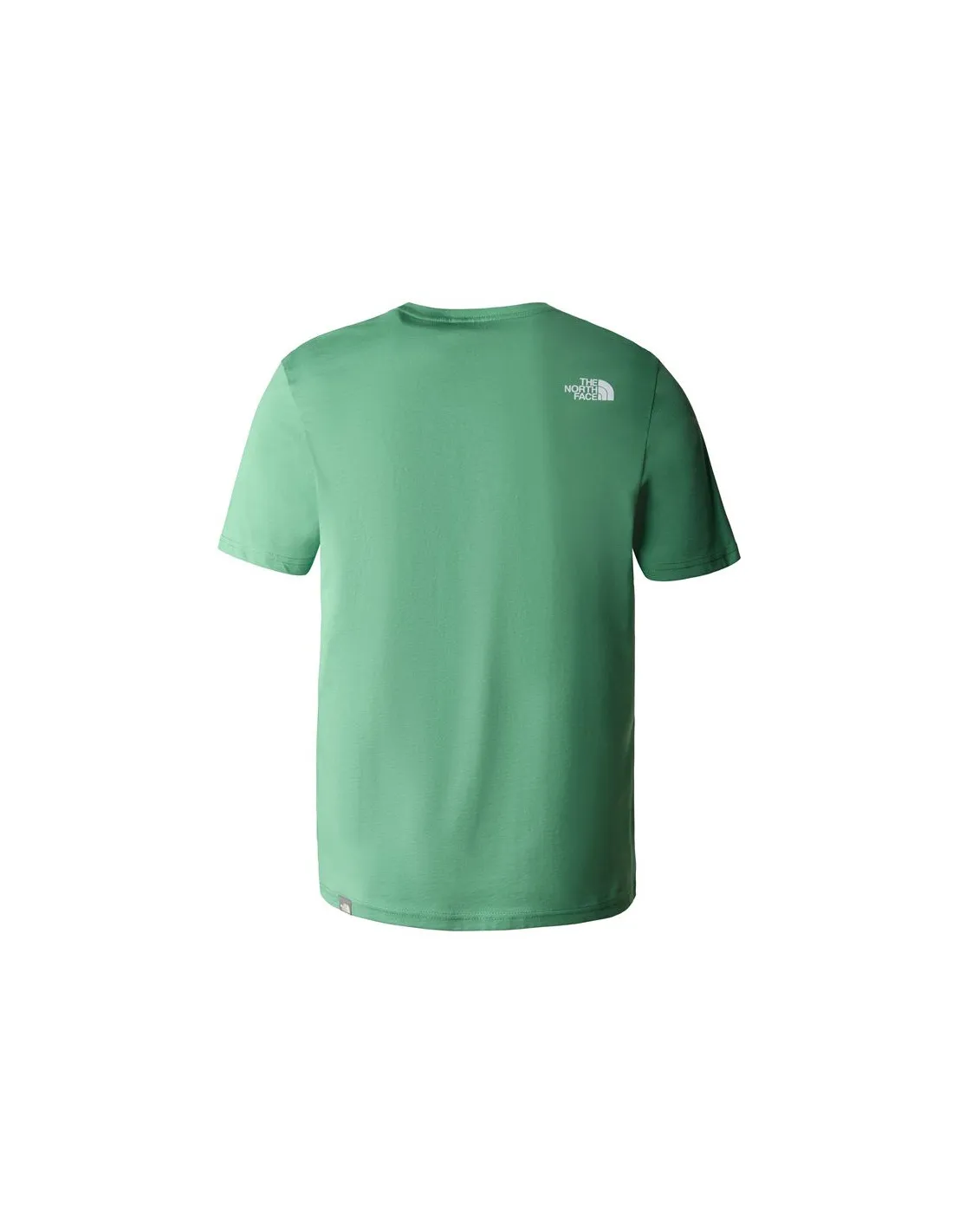 Camiseta de Montaña The North Face Easy Verde Hombre
