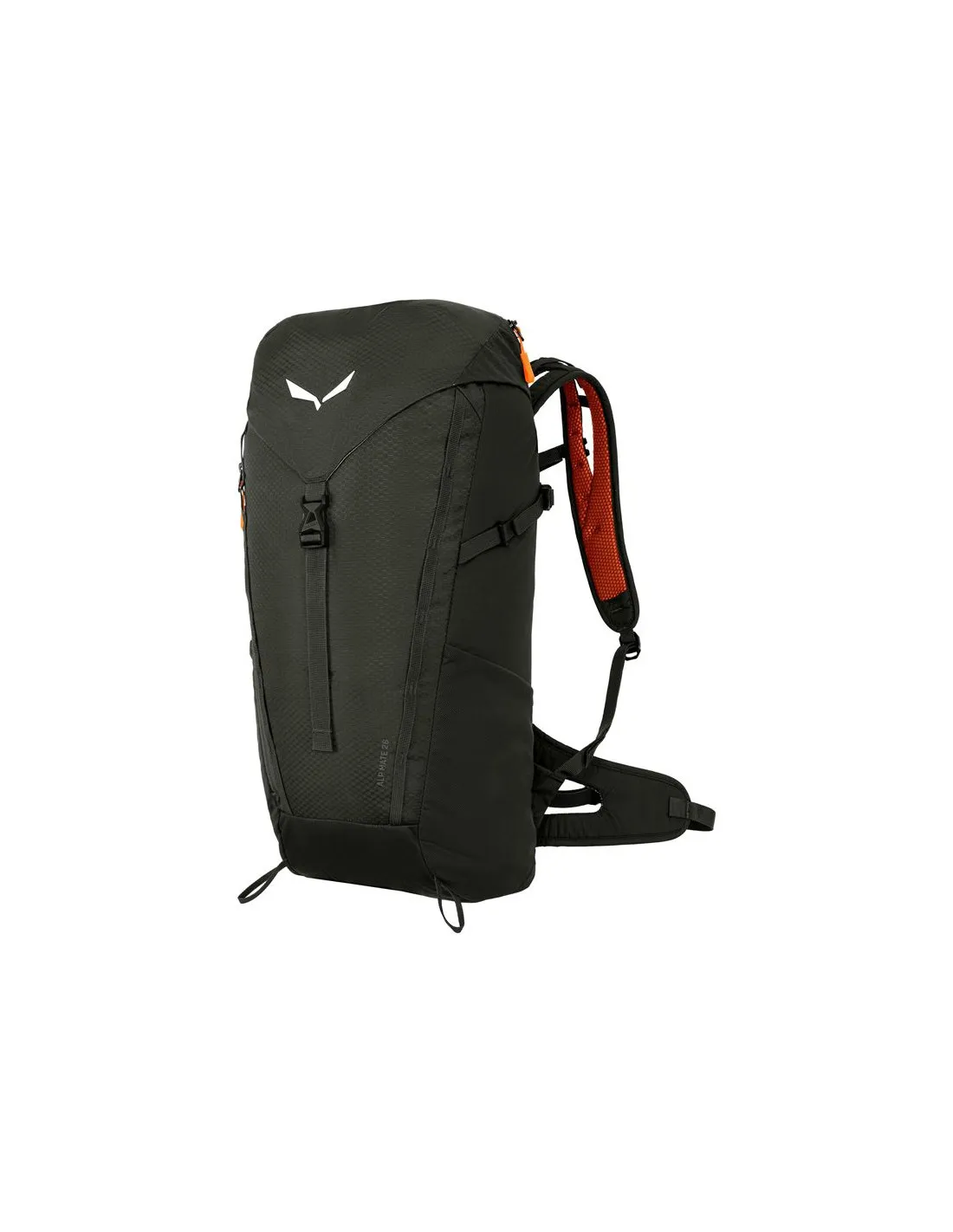 Mochila de Montaña Salewa Alp Mate 26 Oscuro Olive