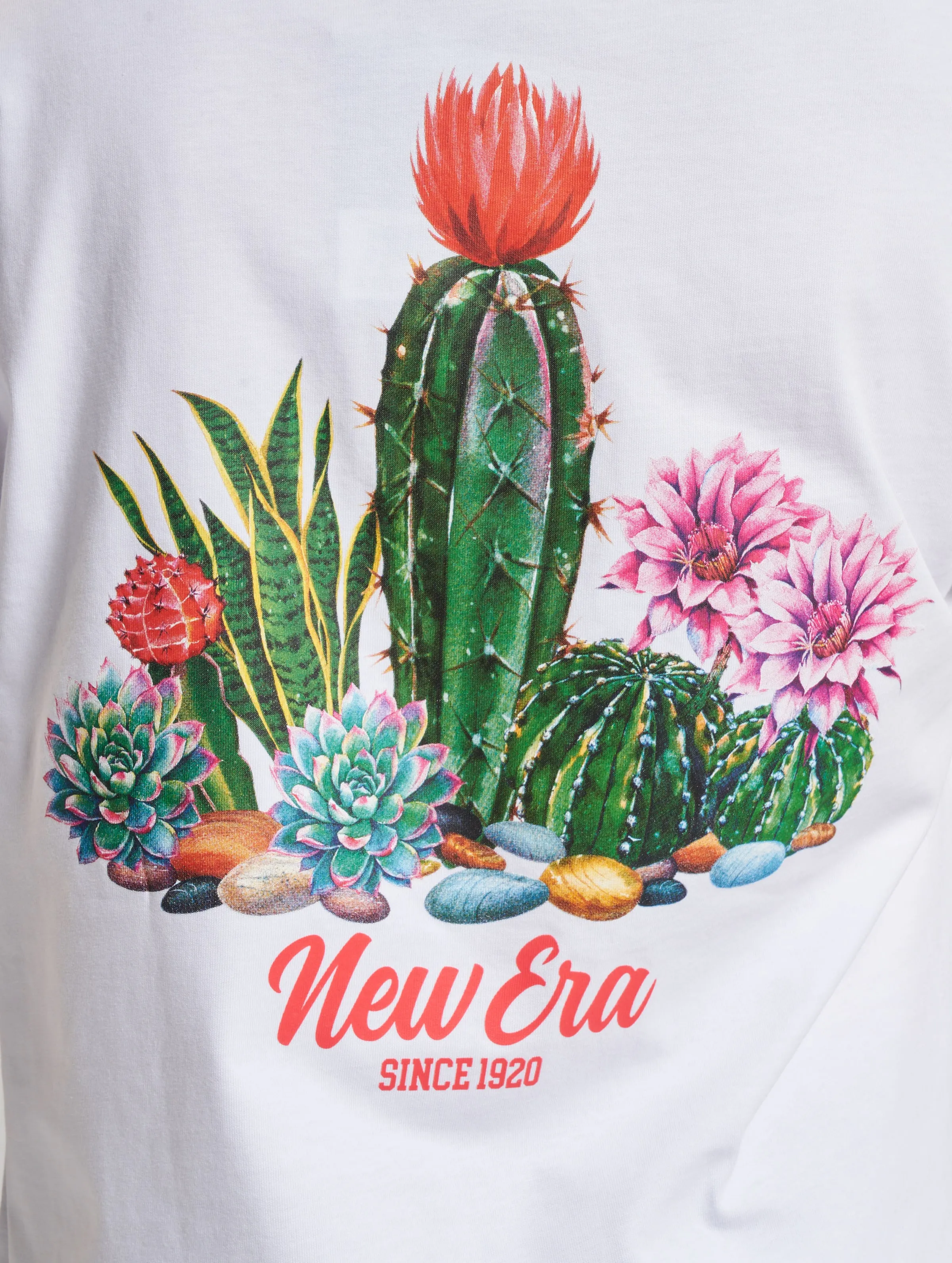 New Era Cactus Graphic Oversized