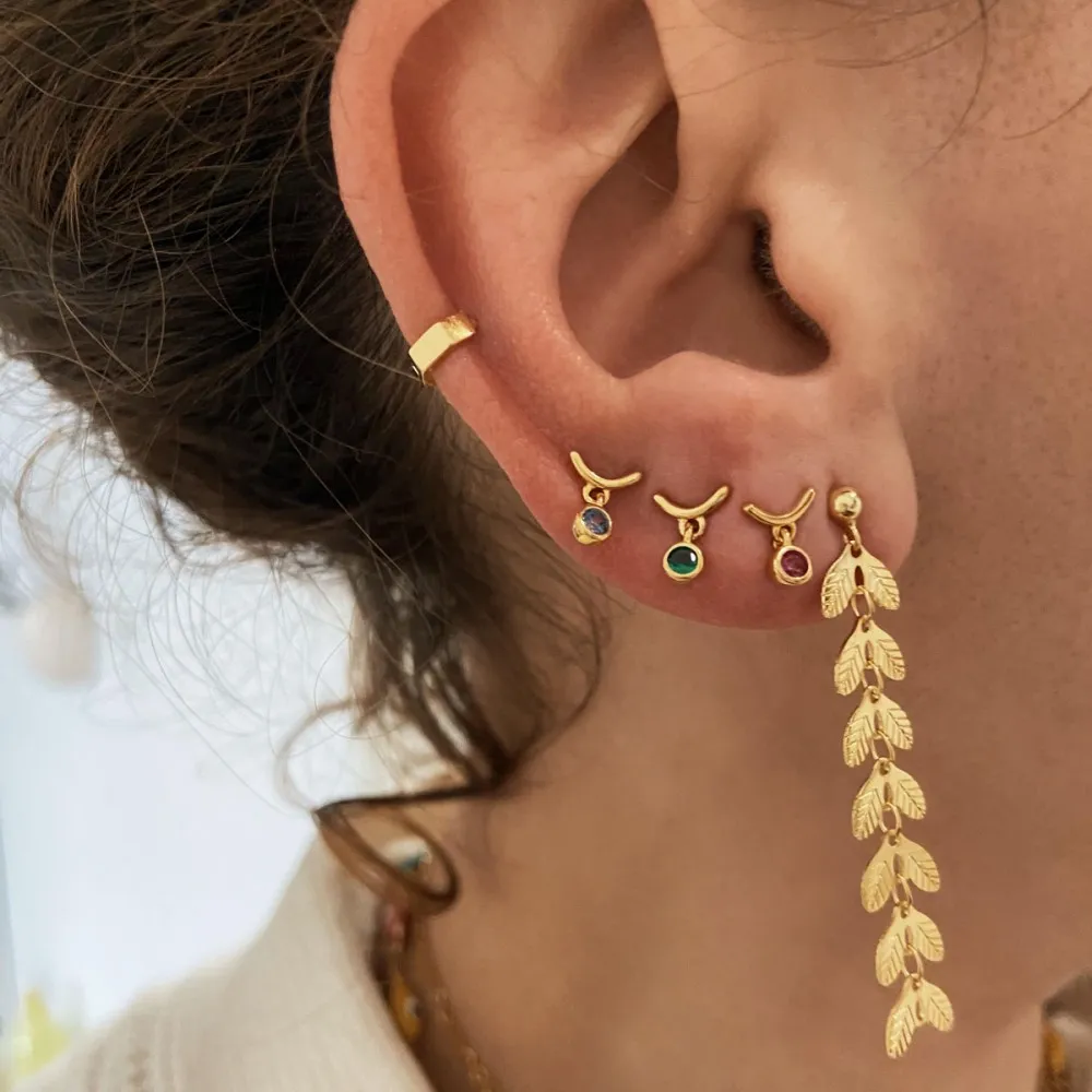 Pendientes Blaar (PAR)
